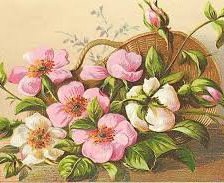 Схема вышивки «№976798»