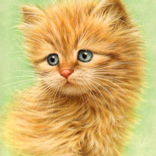 Схема вышивки «Серия "Домашние любимцы"»