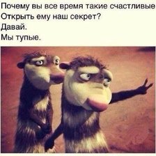 Схема вышивки «в чем секрет счастья?»