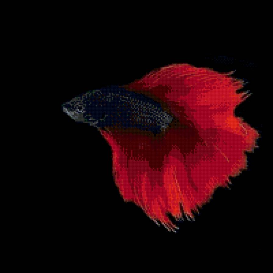 рыба - рыба - предпросмотр