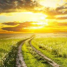 Схема вышивки «№977154»