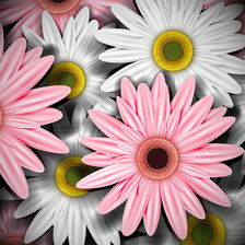 Схема вышивки «герберы. для себя.»