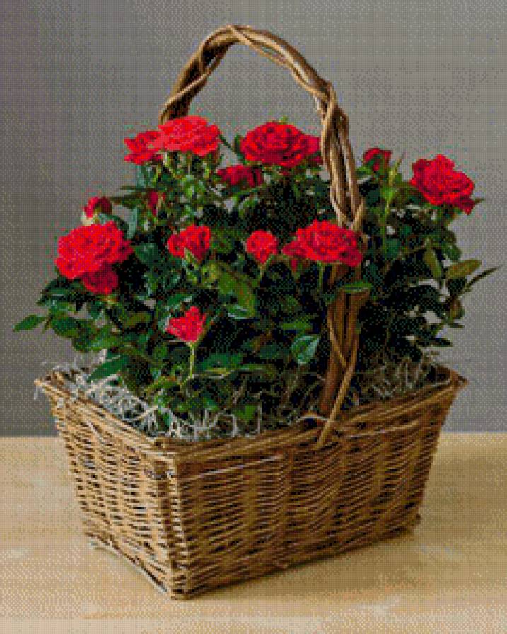 серия "корзины" - корзина.цветы. - предпросмотр