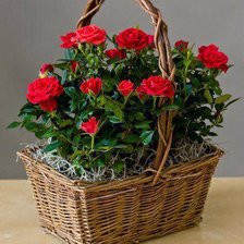 Схема вышивки «серия "корзины"»