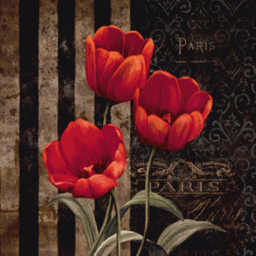 тюльпаны - тюльпан, цветы - предпросмотр