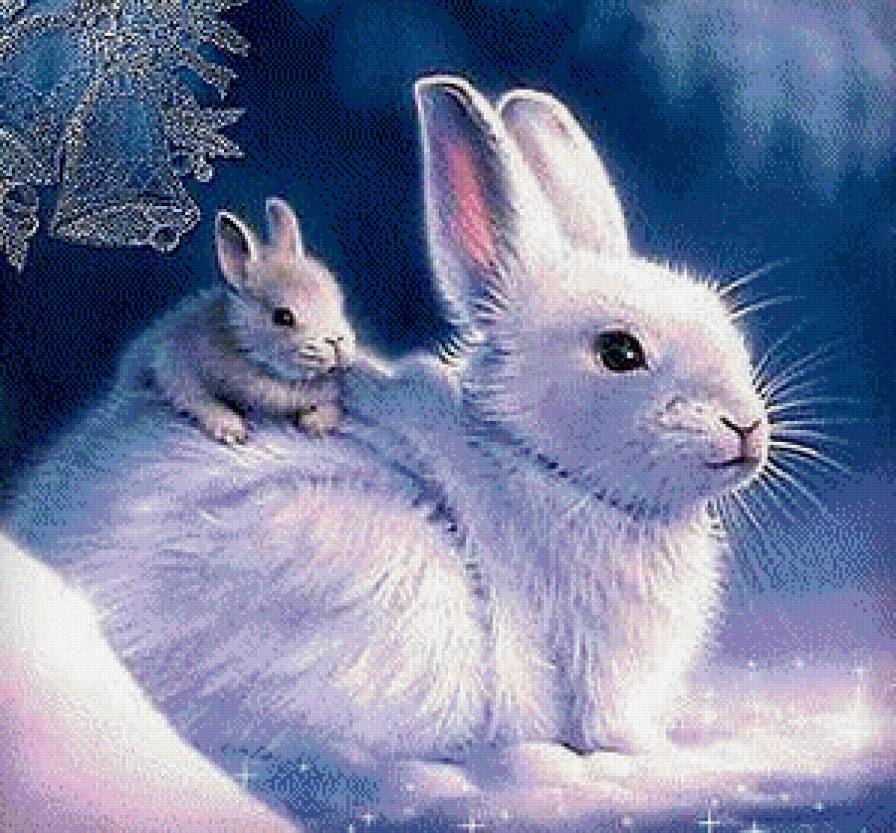 Кролики - предпросмотр