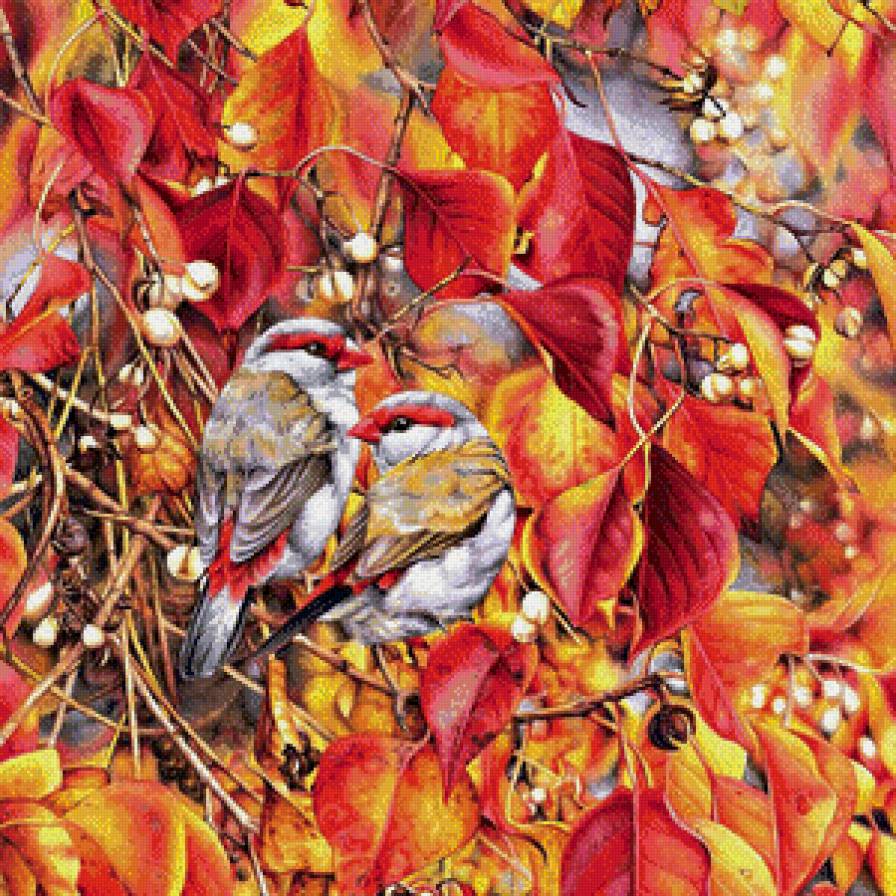 птички - птички - предпросмотр