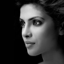 Схема вышивки «приянка чопра»