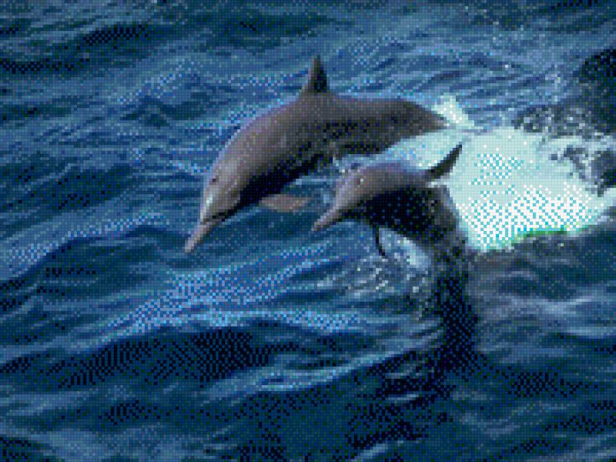 102 - предпросмотр