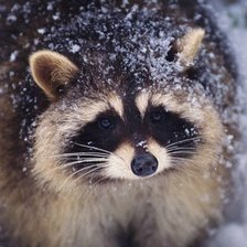 Схема вышивки «109»