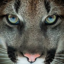 Схема вышивки «111»