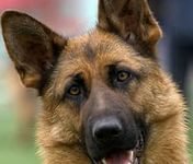 Схема вышивки «112»