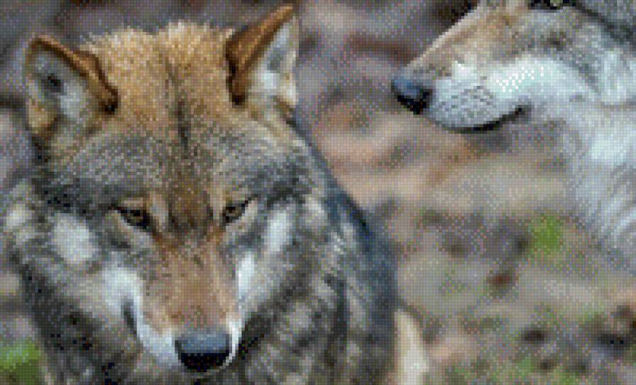 118 - предпросмотр