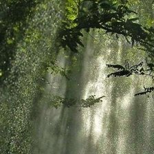 Схема вышивки «119»