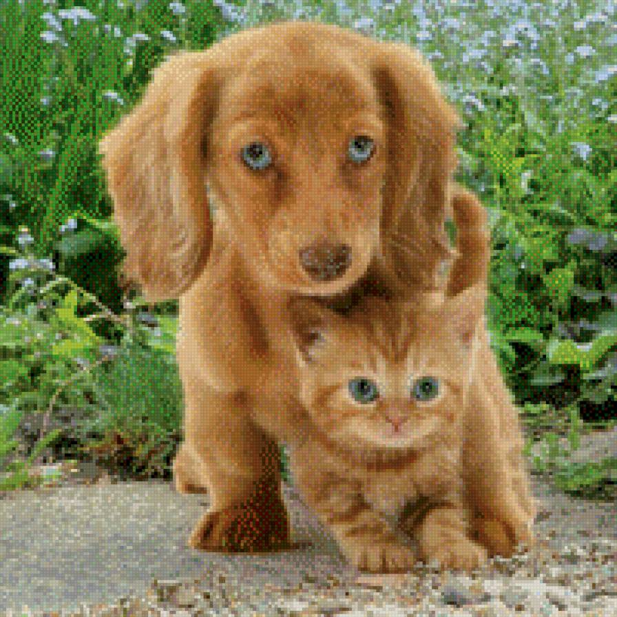 120 - предпросмотр