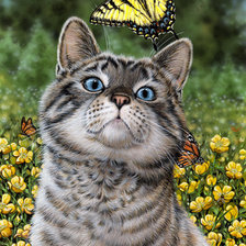 Схема вышивки «кот и бабаочка»