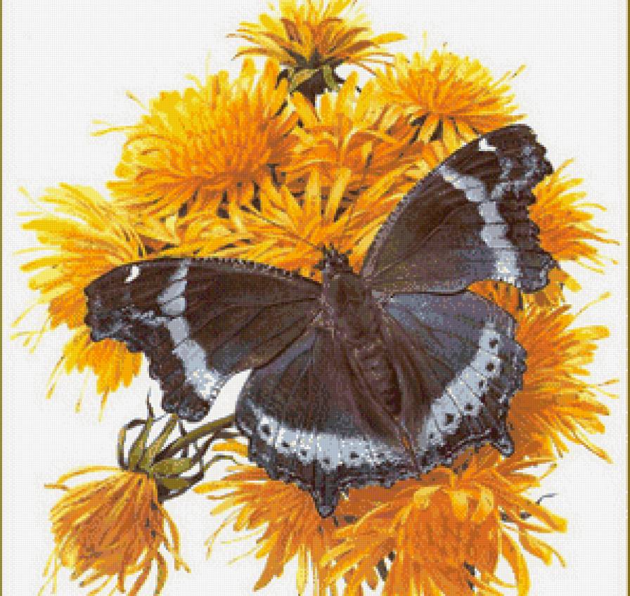 бабочка - бабочка, цветы - предпросмотр