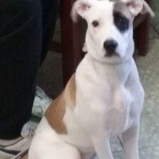 Схема вышивки «Sua»