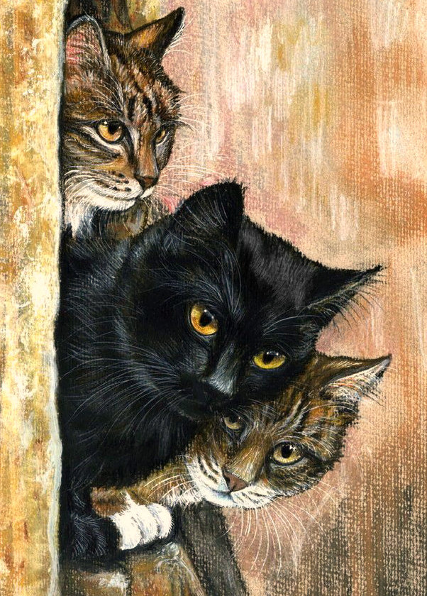 Серия "Домашние любимцы" - игра, котики, коты, прятки - оригинал