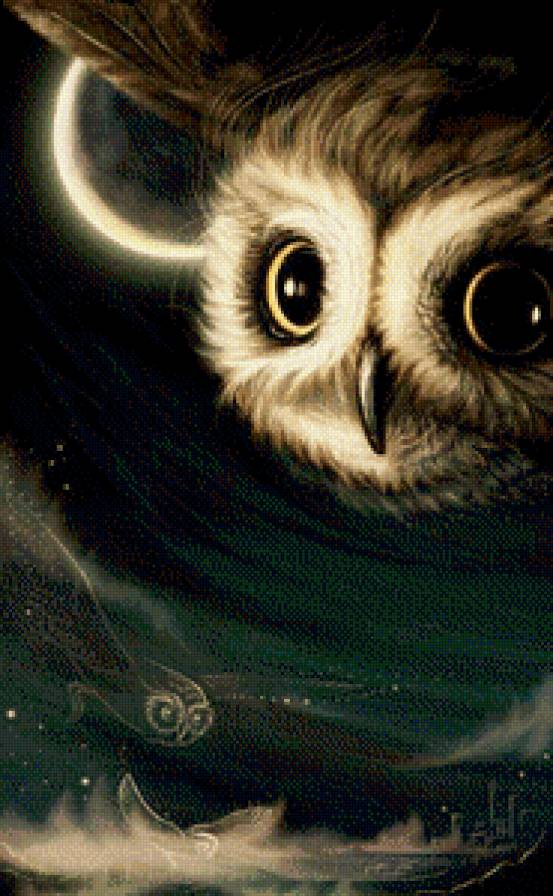 №979047 - сова, полет, ночь - предпросмотр