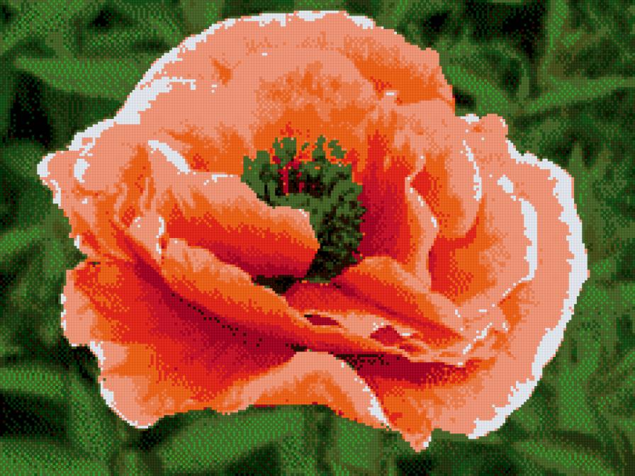 Мак - предпросмотр