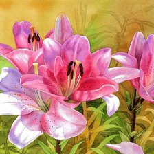 Схема вышивки «Krzysztof Kowalski - Цветя»