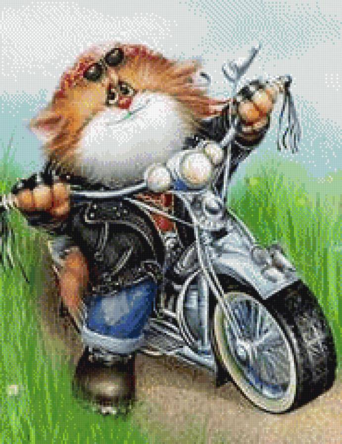 кот мотоциклист - предпросмотр