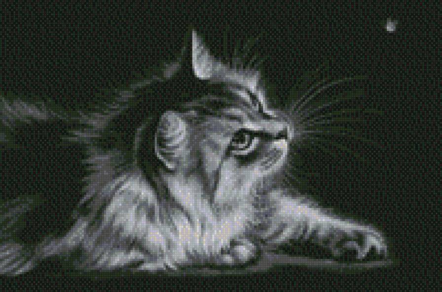 Кошка - животные - предпросмотр