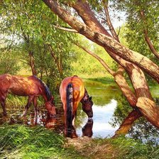 Схема вышивки «Водопой»