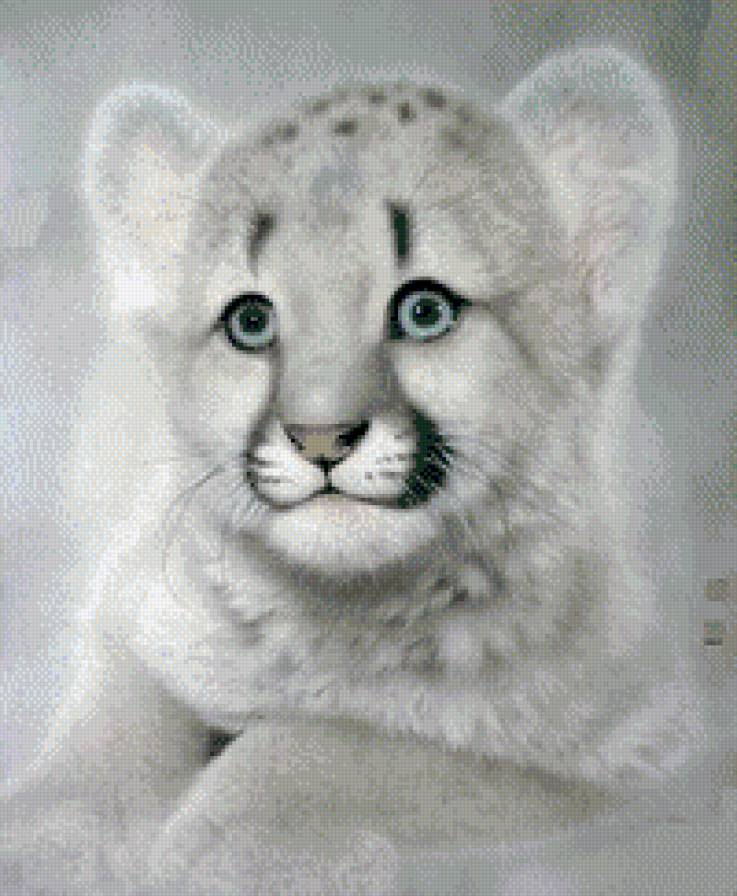 Белый тигренок - предпросмотр