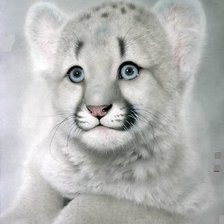 Схема вышивки «Белый тигренок»