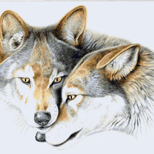 Схема вышивки «Волки»