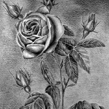 Схема вышивки «Роза»