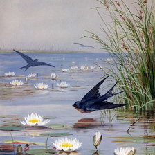 Схема вышивки «Ласточки»