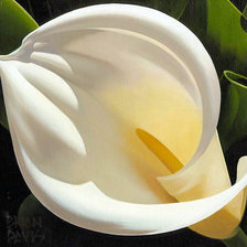 Схема вышивки «Калы»