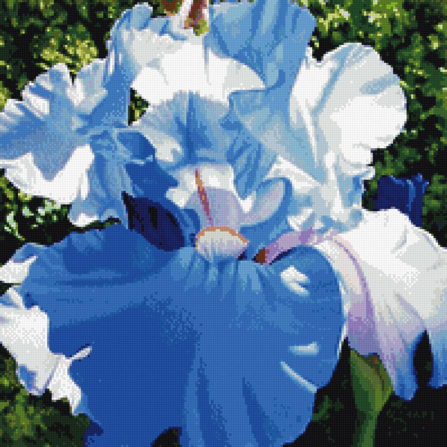 Цветок - цветы, природа - предпросмотр