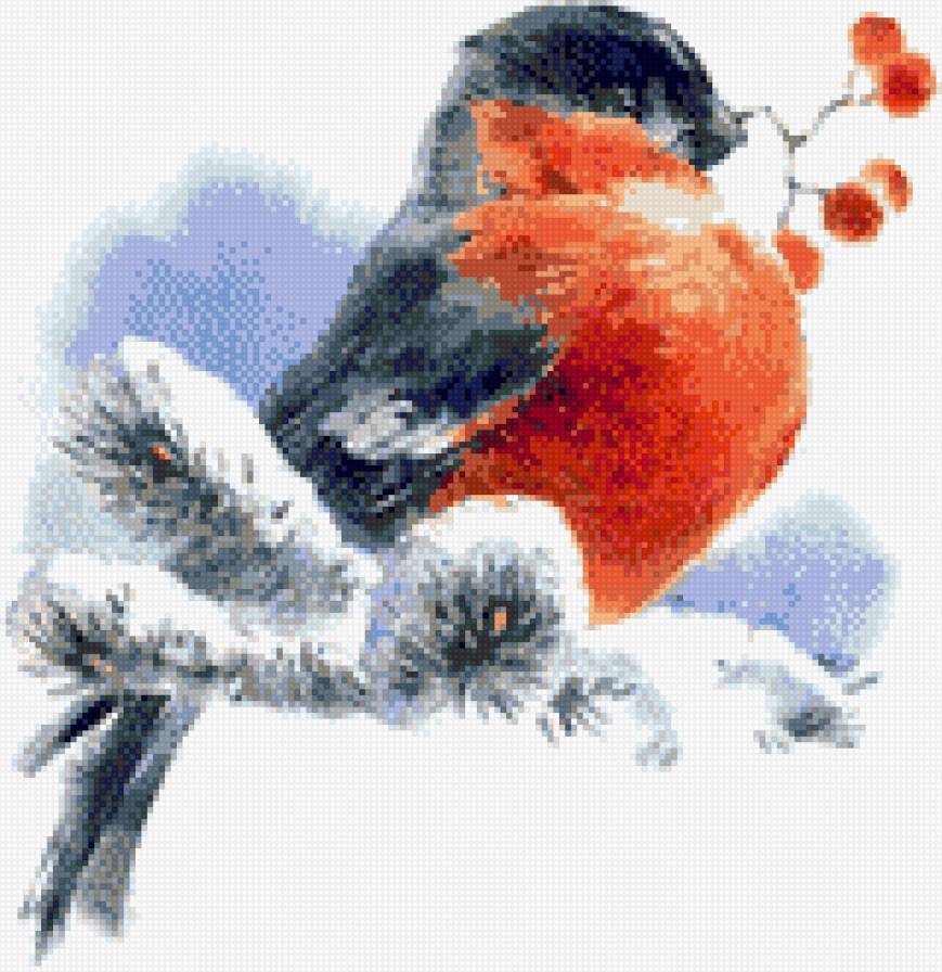 Снегирь с рябиной - на ветке, зима, снегирь, рябина - предпросмотр