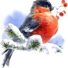 Схема вышивки «Снегирь с рябиной»