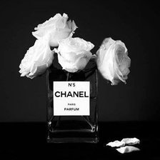 Схема вышивки «chanel»