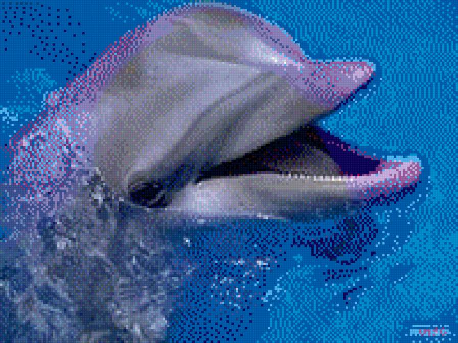 135 - предпросмотр