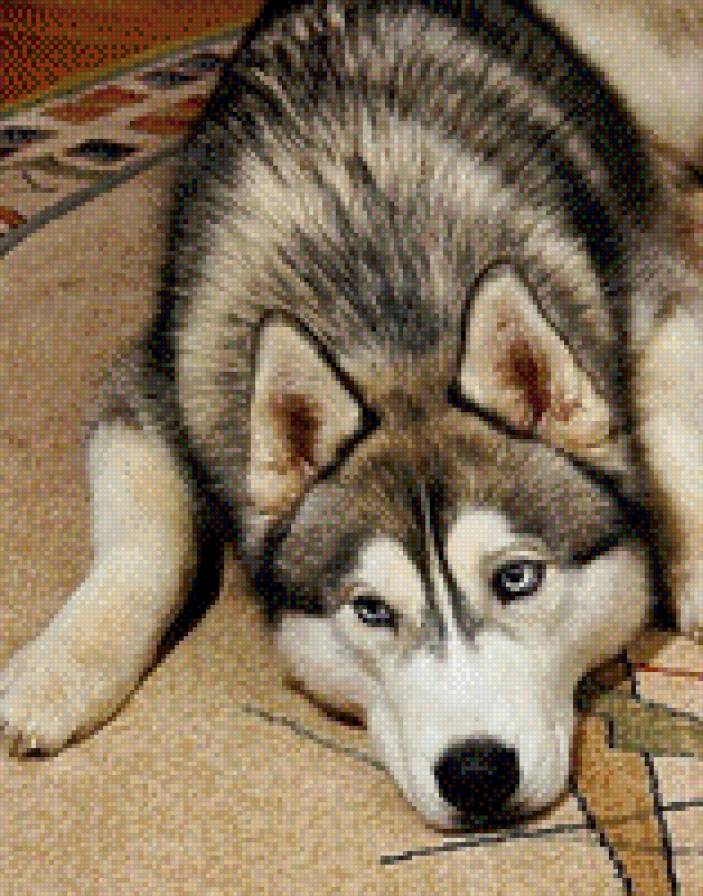 139 - предпросмотр