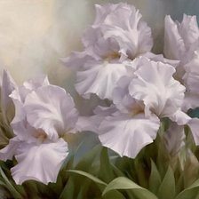 Схема вышивки «ирис»