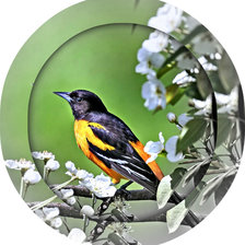 Схема вышивки «№979987»