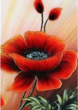 Схема вышивки «маки 3 триптх»