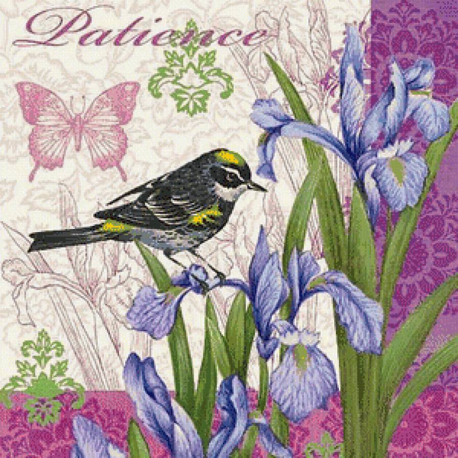 Серия "Пернатые" Райские птички" - предпросмотр