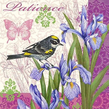 Схема вышивки «Серия "Пернатые" Райские птички"»