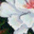 Предпросмотр схемы вышивки «Букетик» (№980676)