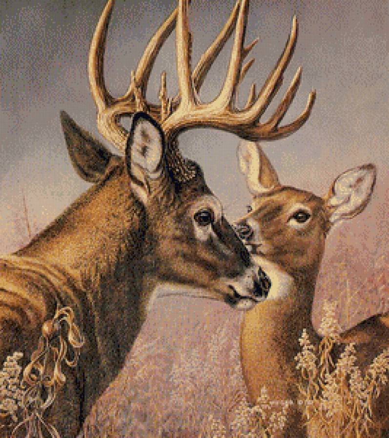 Серия "Лесные жители" - предпросмотр