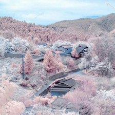 Схема вышивки «красота»