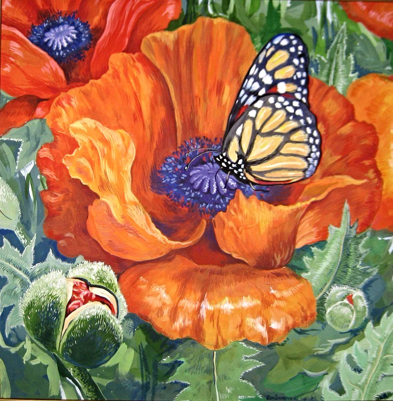 мак - цветы, бабочка - оригинал